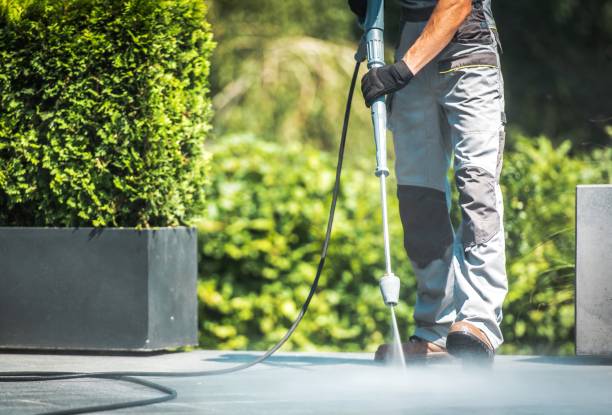 Best Animal Enclosure Cleaning  in Marlboro, NY