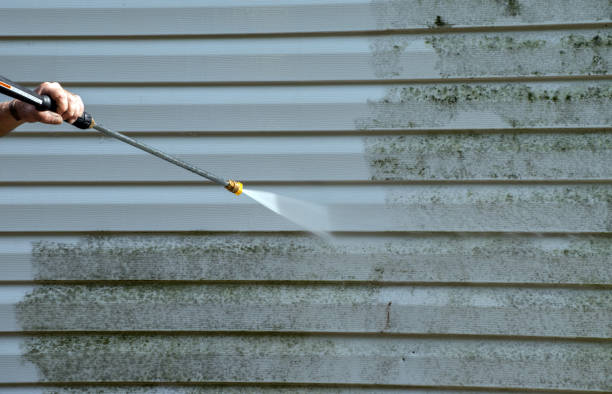Best Roof Washing  in Marlboro, NY